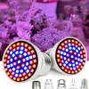 Two LED grow lights are shown in the foreground, with potted succulents in the background, illuminated by purple light. Produktbild-Vorschau