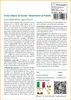 SAFLAX  - Falso albero di Giuda - 200 semi - Con substrato Anteprima dell’immagine prodotto 3