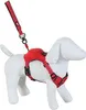 Harnais pour chien avec laisse EASY RIDE rouge M Zolux Voir les images du produit 2