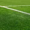 Tappeto erboso sportivo 5 kg (circa 200m²) SPORT seme per Anteprima dell’immagine prodotto 6