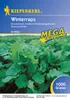 Kiepenkerl Gründüngung Winterraps Brassica napus 1 kg Produktbild-Vorschau 1