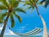 A hammock strung between two palm trees on a beach with a clear blue sky. Produktbild-Vorschau
