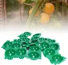 10PCS Opakovaně použitelné zařízení pro zakořenění rostlin Náhled obrázku produktu 4