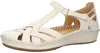 Pikolinos Damen Sandalen T-Steg Leder P. Vallarta Produktbild-Vorschau 64
