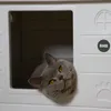 RHRQuality Katzenhaus Villa de Luxe – Für drinnen und Produktbild-Vorschau 10