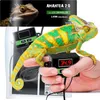 A chameleon is held in a hand, with a reptile heating pad and controller visible. Voir les images du produit
