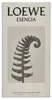 Loewe Esencia Pour Homme Edt Spray Podgląd zdjęcia produktu 6