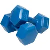 Two blue dumbbells are placed on a white background. Produktbild-Vorschau