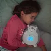 Pluche egel met witte ruis en nachtlamp-projector, Spikey Productafbeelding-voorbeeld 6