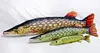 GABY Kissen Kuscheltier Fisch Stofftier Plüschtier Produktbild-Vorschau 5
