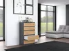 Komoda M5 70x40x112 cm antracyt/artisan Náhled obrázku produktu 5