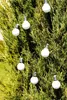 A string of white, bulb-shaped solar lights hanging on a green, leafy tree. Náhľad obrázku produktu