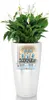 LECHUZA Pot de plantes RONDO Premium 40 Taupe brillant | Voir les images du produit 14