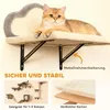 PawHut Klimmuur voor katten, 4-delig. Klimmuurset voor Productafbeelding-voorbeeld 3
