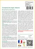 SAFLAX  - Trompette des anges / Blanche - 10 graines - Avec Voir les images du produit 3