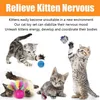 21 Stücke Katzenspielzeug Set Katzentunnel Interaktives Produktbild-Vorschau 3