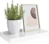 A white floating shelf with a potted plant and a framed picture on it. Náhled obrázku produktu