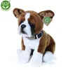 Peluche chien boxer 27 cm ECO-FRIENDLY Voir les images du produit 5