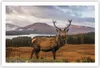Poster - Poster ohne Rahmen - Rehe Wiese Berge - 91,5x61 cm Produktbild-Vorschau 1