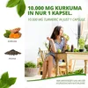 Curcuma + Pfeffer Extrakt Kapseln I Curcumin, Piperin | 90 Produktbild-Vorschau 2