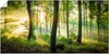 ARTland Poster Herbst im Wald II Größe: 150x75 cm Produktbild-Vorschau 1