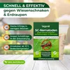 SC-Nematoden gegen Maulwurfsgrillen und Wiesenschnaken - 10 Produktbild-Vorschau 2
