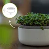 A close-up of microgreens growing in a planter, with a diagram showing dimensions. Produktbild-Vorschau