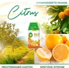 Air Wick Freshmatic Max Ricarica Agrumi 250ml - Profumo per Anteprima dell’immagine prodotto 7