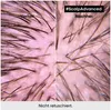 Loreal Serie Expert Scalp Advanced Anti-Discomfort Voir les images du produit 15