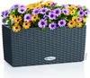 Lechuza Samozavlažovací truhlík Balconera Cottage 40 cm, Náhled obrázku produktu 15