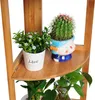 A close-up view of a bamboo shelf with several potted plants. Produktbild-Vorschau