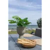 Ciotola in teak Ø 30 x 10 cm Anteprima dell’immagine prodotto 5