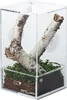 Repti-Zoo Easy Clean Acrylic Terrarium - akrylové terárium Náhled obrázku produktu 1