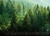 Wald - Erholung für Mensch und Tier - 2027 - Kalender DIN Produktbild-Vorschau 7