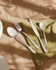 Alessi "Caccia" 24 Pcs.Cutlery Set (Art.-Nr. LCD01S24M, EAN Anteprima dell’immagine prodotto 3