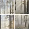 Gerahmtes Poster - Schwarzer Rahmen - Wald Baum Natur - Produktbild-Vorschau 9