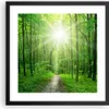 Gerahmtes Poster - Schwarzer Rahmen - Sonnenstrahlen Wald Produktbild-Vorschau 1