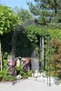 GardenAndPools Rosenbogen Paris Lilie Spitze B-1,40 m Produktbild-Vorschau 6
