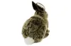 Kösen Kaninchen sitzend 25 cm Kuscheltier Hase Produktbild-Vorschau 2