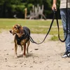 Beeztees Geschirr Premium Parinca Step-In schwarz Produktbild-Vorschau 5