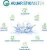 Mutterpflanze Aquariumpflanze Cryptocoryne Balansae Nr.309B Produktbild-Vorschau 6