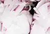 Akustikbild Blumen 200x100 cm Bilder Akustikschaum Produktbild-Vorschau 4