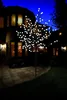 A decorative LED tree with white lights is displayed in a yard at night, with a house in the background. Produktbild-Vorschau