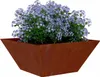 vidaXL Garten-Pflanzgefäß Rostig 35 x 35 x 15 cm Produktbild-Vorschau 3