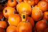 Vellutier Duftkerze Spiced Pumpkin Soufflé Medium - 12 cm / Produktbild-Vorschau 4