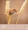 Never give up! Postkartenkalender 2027 - Durchhalten. Denn Produktbild-Vorschau 14