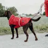 Hunter Hunde-Regenmantel Uppsala Rain, Größe:40, Farbe:rot Produktbild-Vorschau 10