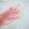 Stabilisiertes Amaranth - Amaranth - Rosa Produktbild-Vorschau 5