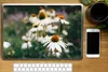 MuchoWow® Laptop Aufkleber Sticker Cover Blumen - Herbst - Produktbild-Vorschau 2