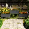 vidaXL květináč Grey 245,5x44x75 cm Borovicový masiv Náhled obrázku produktu 2
